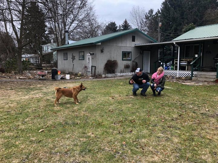 Homeward Bound: Lost dog comes home to Coeur d'Alene from Colorado